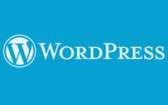 Boost Your WordPress Theme Development Remarkably!