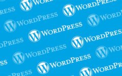 What Makes WordPress The Best Platform For eCommerce?