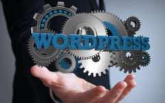 Amazing Facts About WordPress You Will Love To Know!