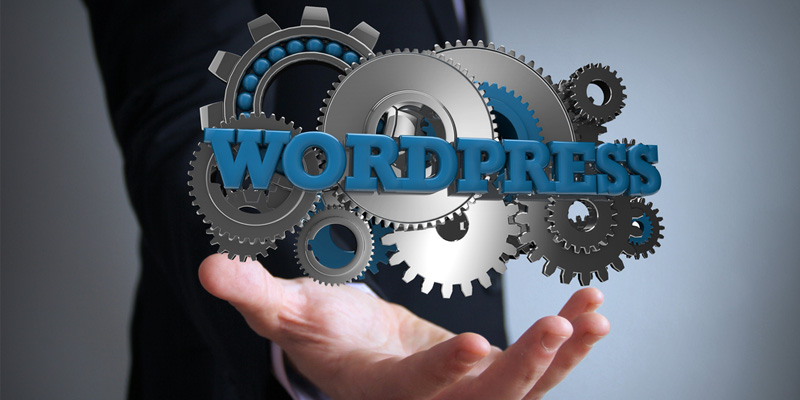 Amazing-Facts-About-WordPress-You-Will-Love-To-Know