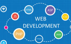 Are You Opting For A Perfect Web Development Company?