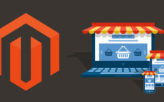 Why Choose A Magento Development Company For eCommerce Site?