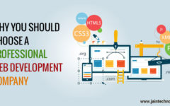 Why You Should Choose a Professional Web Development Company?