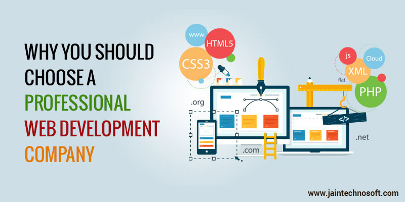 Why You Should Choose a Professional Web Development Company