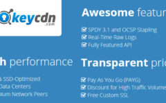 Is KeyCDN The Best Bet For Your Website?