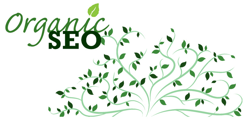 organic-seo