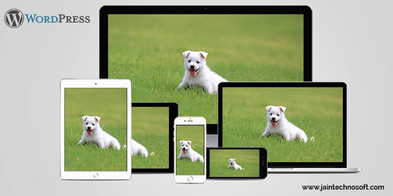 responsive-images-in-wordpress