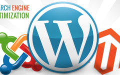 SEO For Websites Built With Magento, WordPress, Joomla