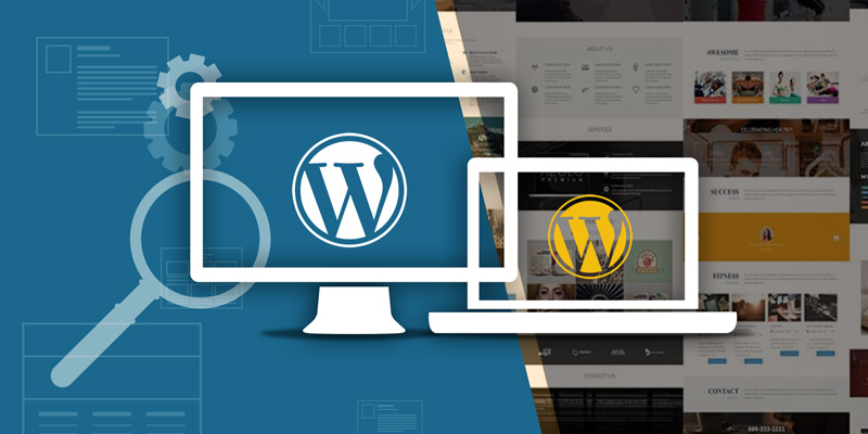 wordpress-expert-web-developers